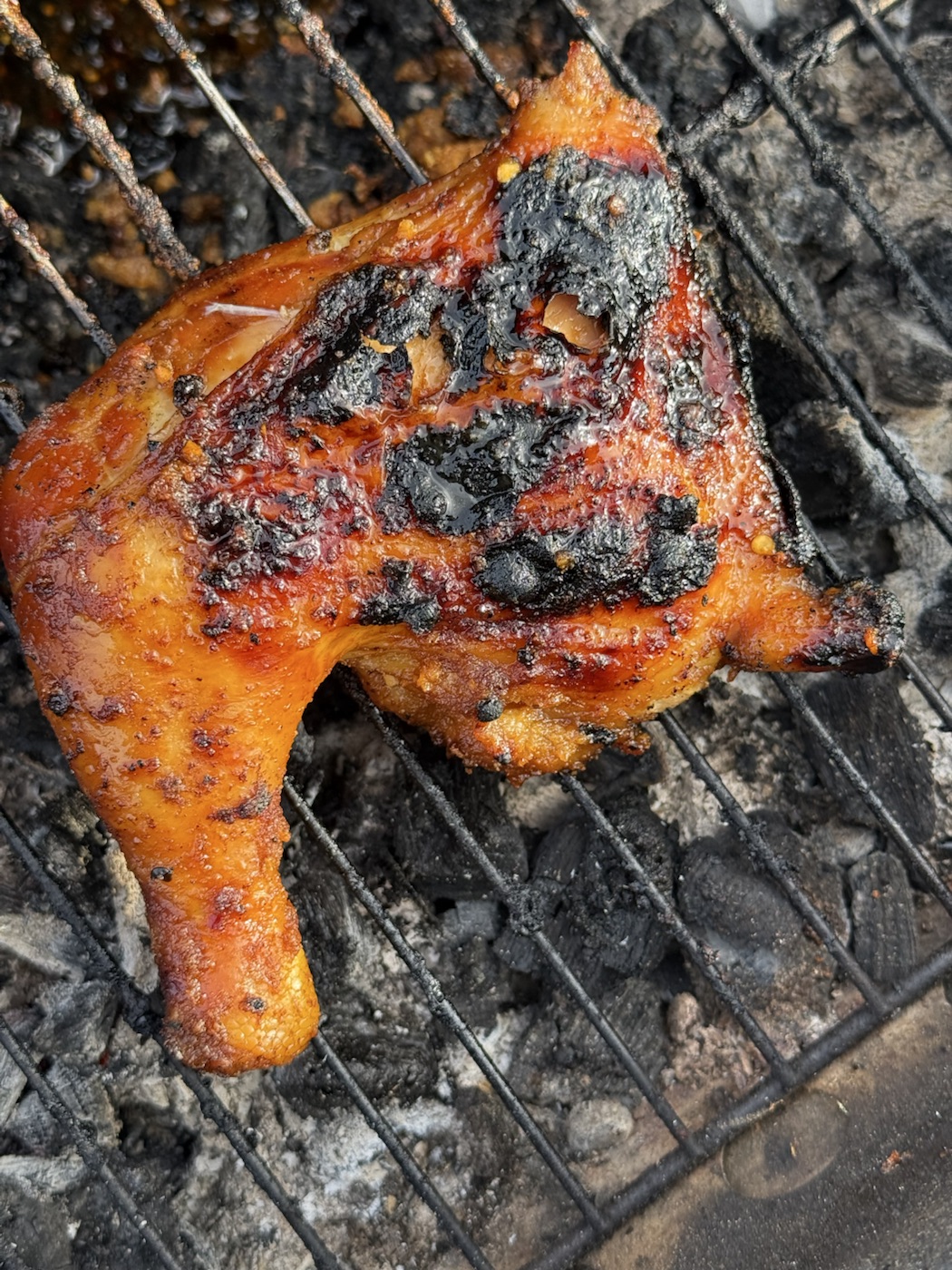 Dino Leg Quarter on the grill