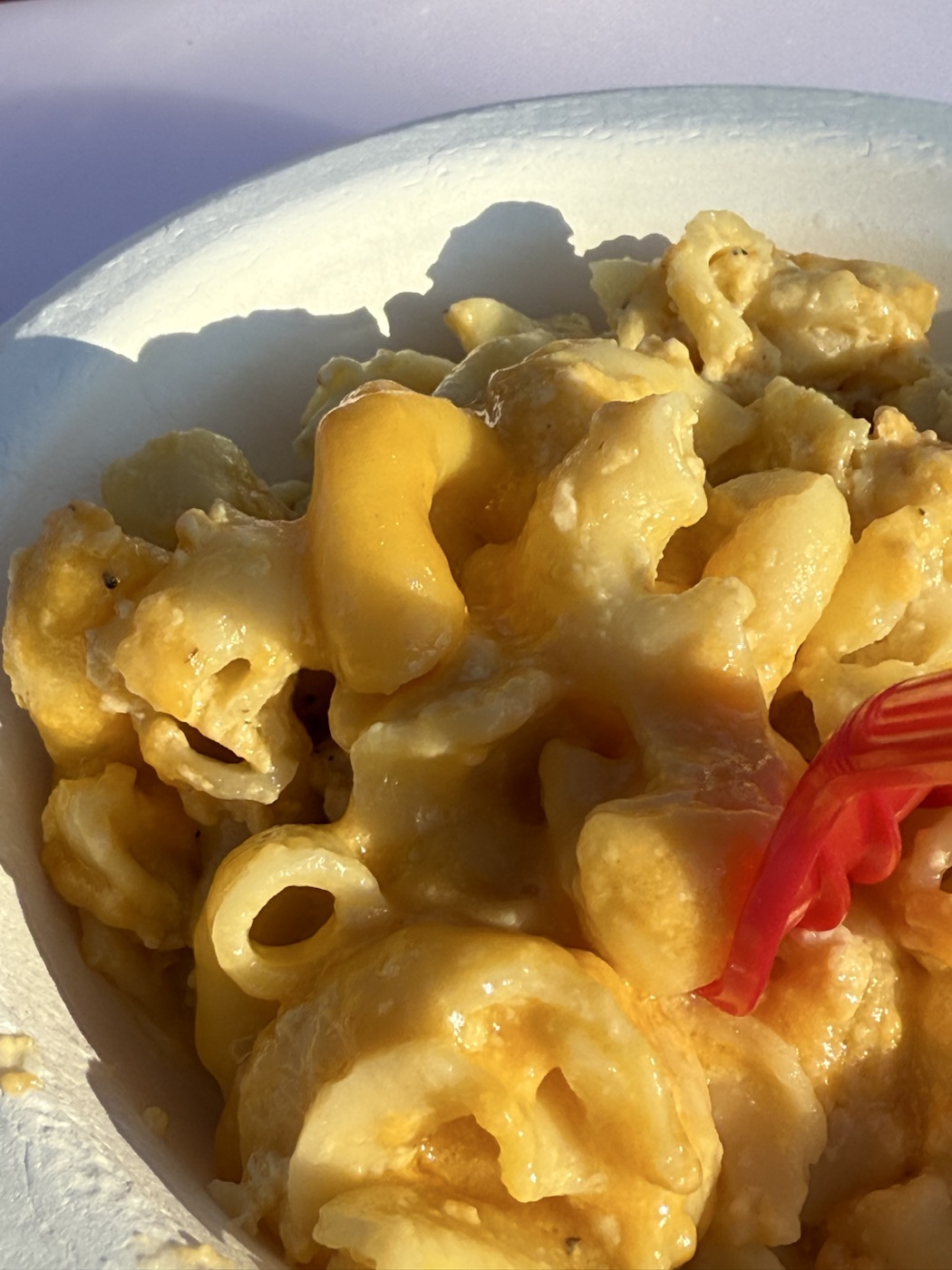 Brooke's Macaroni and Cheese close up