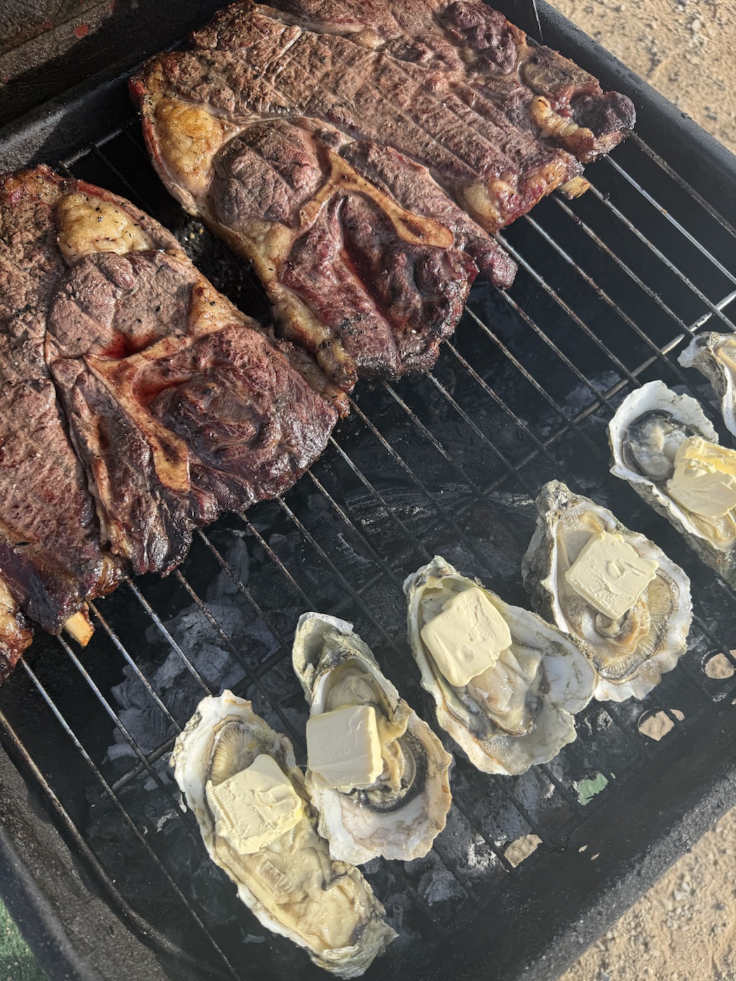 Fresh oysters on the grill