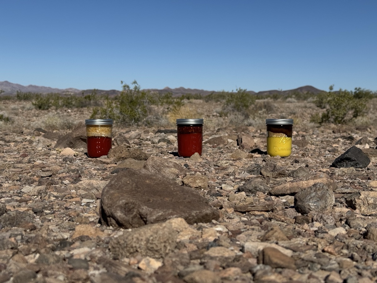 Lowcountry Sauce — Mojave 66 BBQ